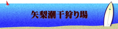 矢梨潮干狩り場